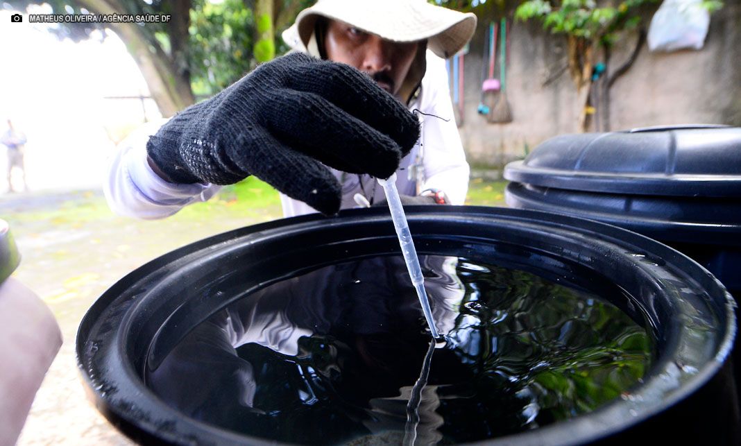 Combate a dengue: Período chuvoso no DF exige atenção redobrada contra focos do aedes aegypti