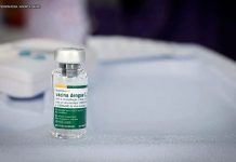 Butantan antecipa entrega de 1,3 mi de vacinas contra dengue ao SUS