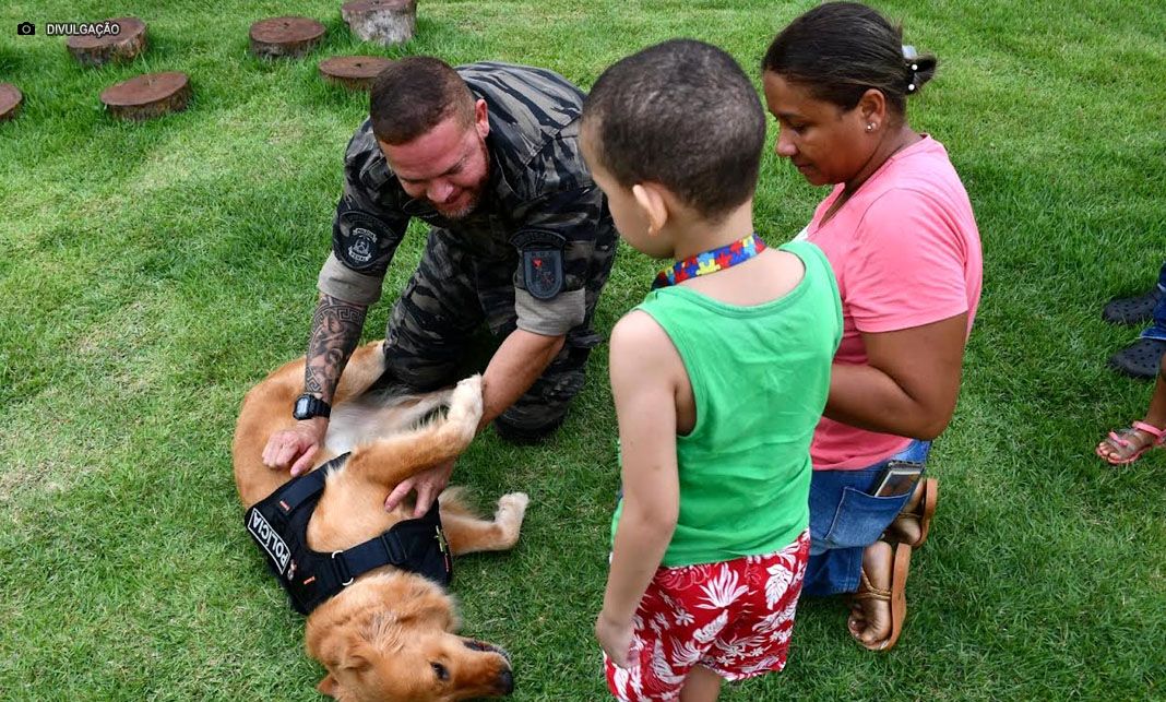 Ceilândia receber lançamento do CRASANIMAL, espaço voltado à cinoterapia, adoção responsável e proteção animal