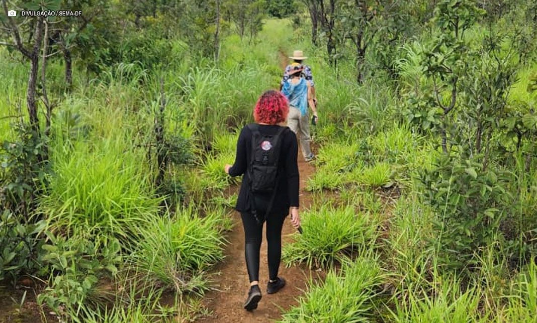 Chamamento abre inscrições para seleção de representantes da sociedade civil em comitê de trilhas ecológicas do DF