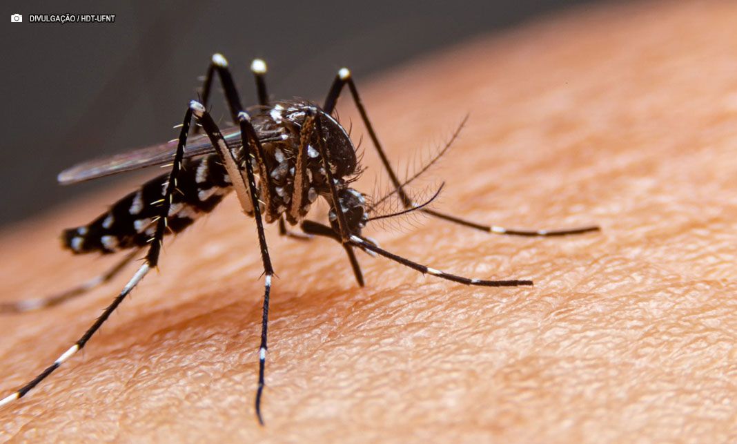 HDT-UFNT alerta para avanço da dengue em Araguaína