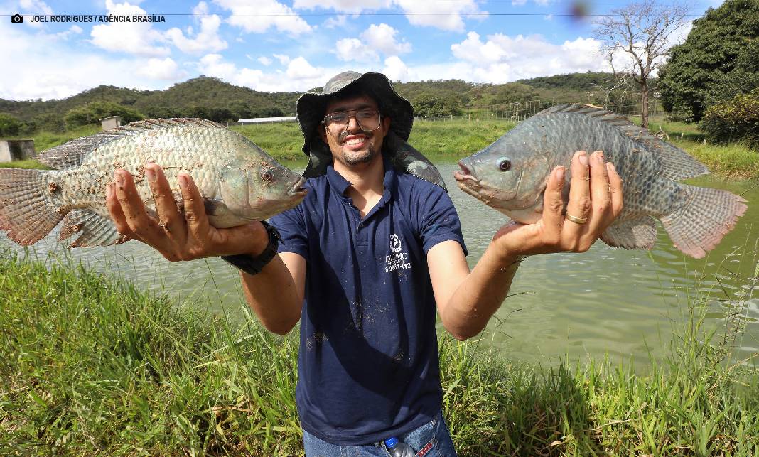 Produção de pescado no DF cresce 21,9% e chega a 2,6 milhões de quilos em 2025
