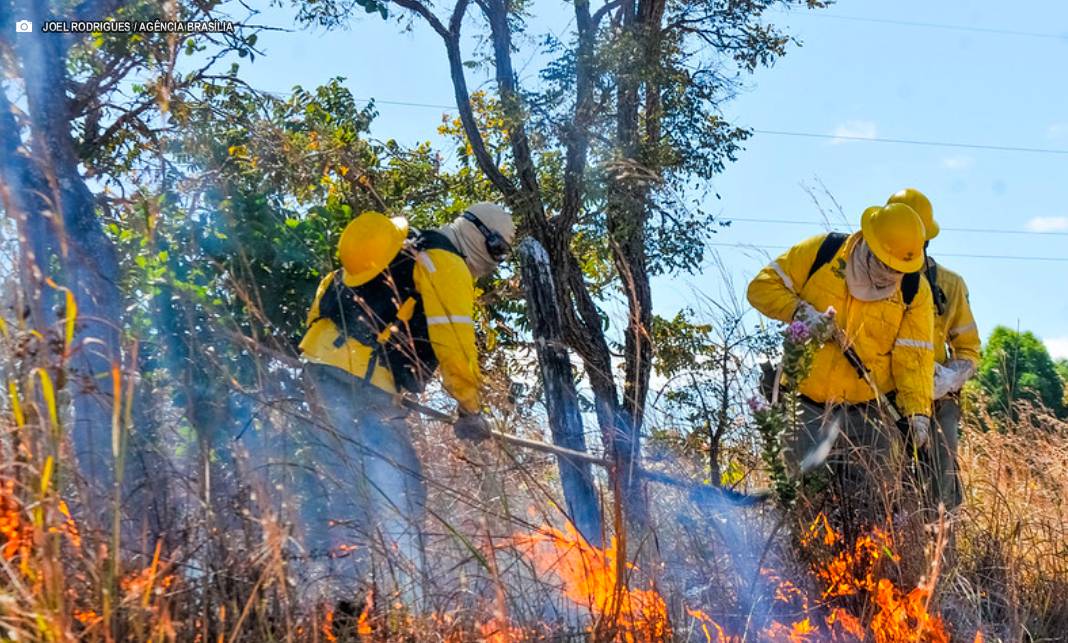 Curso do GDF e do Ibama formará brigadistas para prevenir e combater incêndios florestais no DF