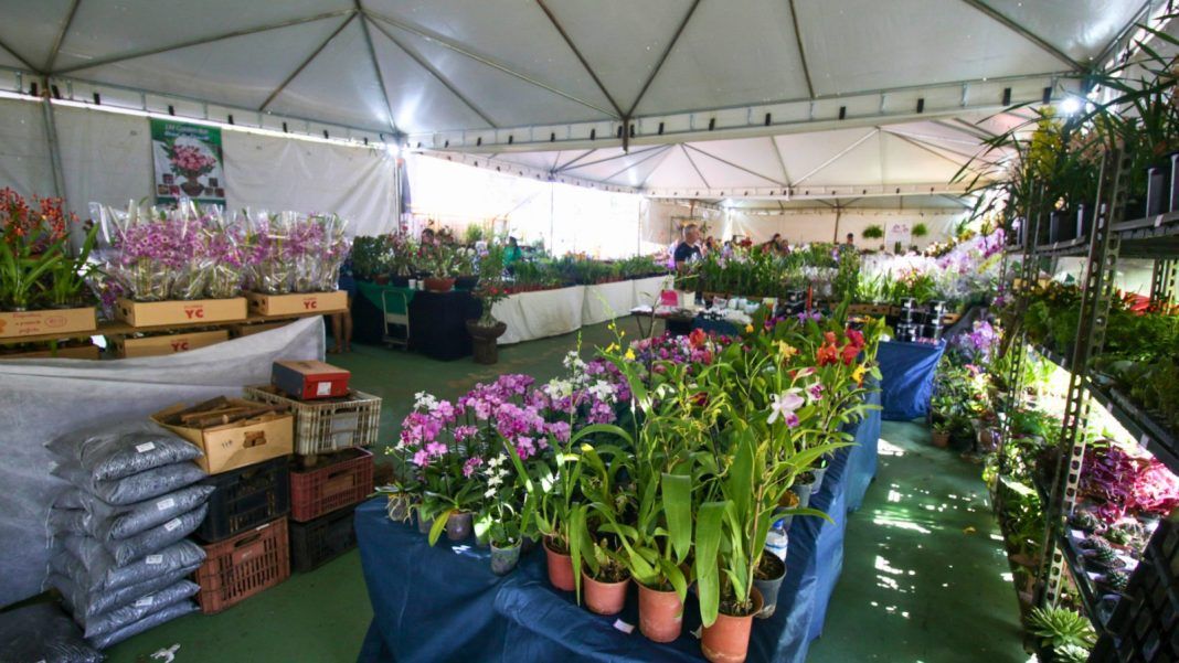 Brasília ganha cores e aromas com a 5ª Feira das Orquídeas & Plantas