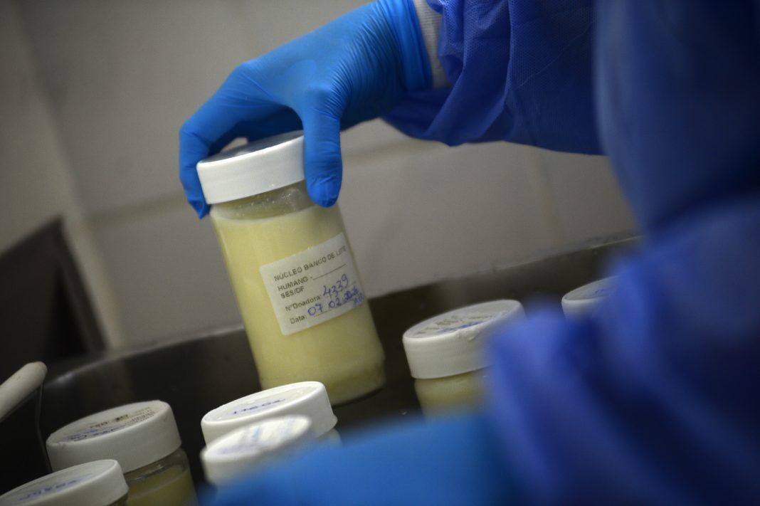 Mais de 4 mil recém-nascidos foram beneficiados com leite humano no DF este ano