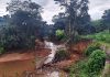 Secretaria de Meio Ambiente do DF assina edital para recuperação da Bacia do Rio Melchior