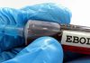 Ebola: OMS eleva para “muito alto” para República Democrática do Congo e “alto” para outros nove países em África ao risco de contaminação