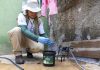 Auditoria da Controladoria atesta eficiência de armadilhas que capturam mosquitos da dengue no DF