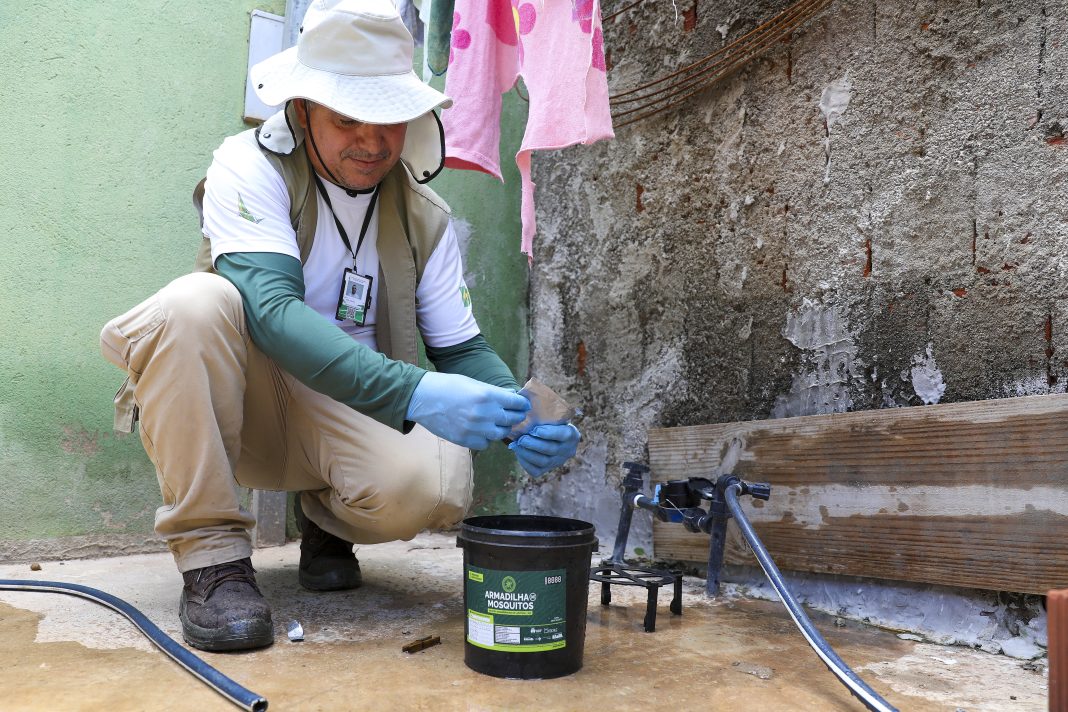 Auditoria da Controladoria atesta eficiência de armadilhas que capturam mosquitos da dengue no DF Auditoria da Controladoria atesta eficiência de armadilhas que capturam mosquitos da dengue no DF