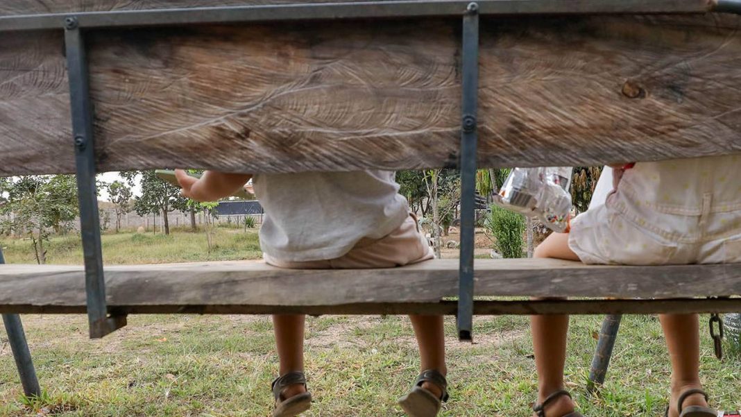 Programa Acolher Eles e Elas já atendeu mais de 200 órfãos de feminicídio no DF Programa Acolher Eles e Elas já atendeu mais de 200 órfãos de feminicídio no DF