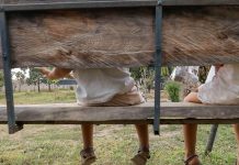 Programa Acolher Eles e Elas já atendeu mais de 200 órfãos de feminicídio no DF