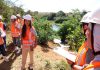 Trabalho da CPI do Rio Melchior resulta em duas leis sancionadas no DF
