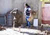 Chuvas atípicas no período de seca reforçam importância do combate à dengue no DF