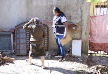 Chuvas atípicas no período de seca reforçam importância do combate à dengue no DF