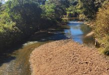 GDF prorroga prazo para envio de propostas de projeto de recuperação ambiental na bacia do Rio Melchior