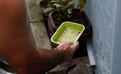 El Niño pode aumentar casos de chikungunya e dengue no Brasil El Niño pode aumentar casos de chikungunya e dengue no Brasil