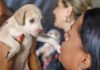 Campanha de castração de cães e gatos gratuita oferece 1,8 mil vagas na próxima semana