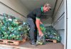 Saiba como receber a Cesta Verde no DF