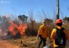 Queima de lixo e vegetação é crime ambiental e eleva risco de incêndio durante o período de seca