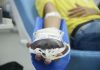Doação de sangue: espera para quem fez tatuagem e piercing será menor