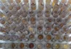 Uso de medicamento oferecido no SUS reduz casos de malária no Brasil