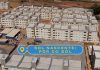 Celina Leão visita obra das 556 unidades habitacionais à população em vulnerabilidade de Sol Nascente
