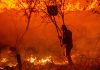 Sem chuva há mais de 50 dias, DF acende alerta para incêndios florestais