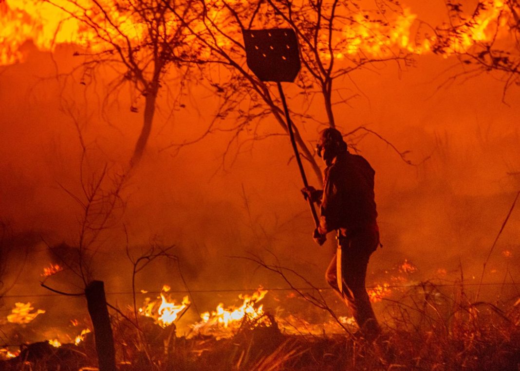 Sem chuva há mais de 50 dias, DF acende alerta para incêndios florestais Sem chuva há mais de 50 dias, DF acende alerta para incêndios florestais