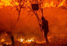 Sem chuva há mais de 50 dias, DF acende alerta para incêndios florestais