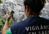 São Paulo tem mais de 58 mil casos de dengue desde o início do ano