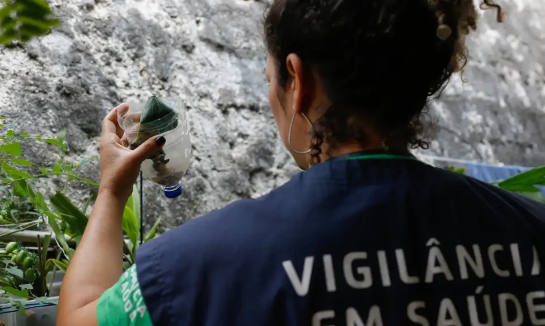 São Paulo tem mais de 58 mil casos de dengue desde o início do ano São Paulo tem mais de 58 mil casos de dengue desde o início do ano