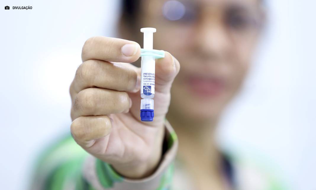 Vacinas contra o pneumococo: veja critérios para receber cada tipo de imunizante Vacinas contra o pneumococo: veja critérios para receber cada tipo de imunizante