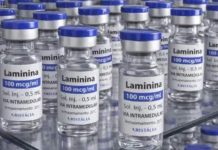 Testes clínicos da polilaminina começam em 24 de setembro com cinco voluntários