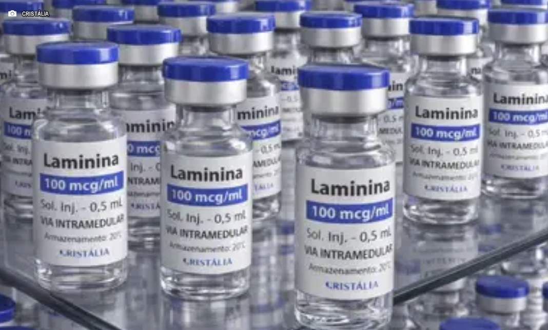 Testes clínicos da polilaminina começam em 24 de setembro com cinco voluntários Testes clínicos da polilaminina começam em 24 de setembro com cinco voluntários