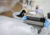 Malária: Anvisa autoriza teste em humanos de vacina 100% brasileira