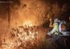 Ibama extingue 229 incêndios no Amazonas e segue no combate ao fogo