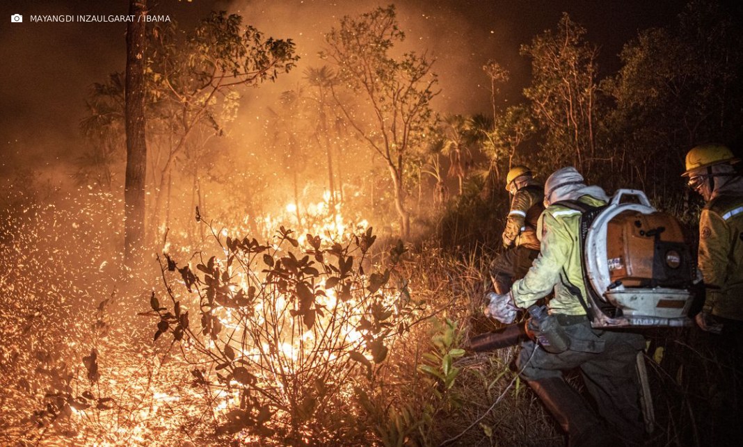 Ibama extingue 229 incêndios no Amazonas e segue no combate ao fogo Ibama extingue 229 incêndios no Amazonas e segue no combate ao fogo