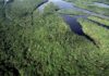 Desmatamento atinge menor nível histórico na Amazônia e no Cerrado