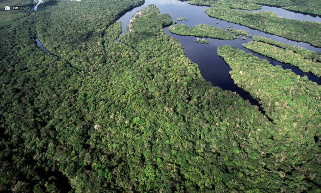 Desmatamento atinge menor nível histórico na Amazônia e no Cerrado Desmatamento atinge menor nível histórico na Amazônia e no Cerrado